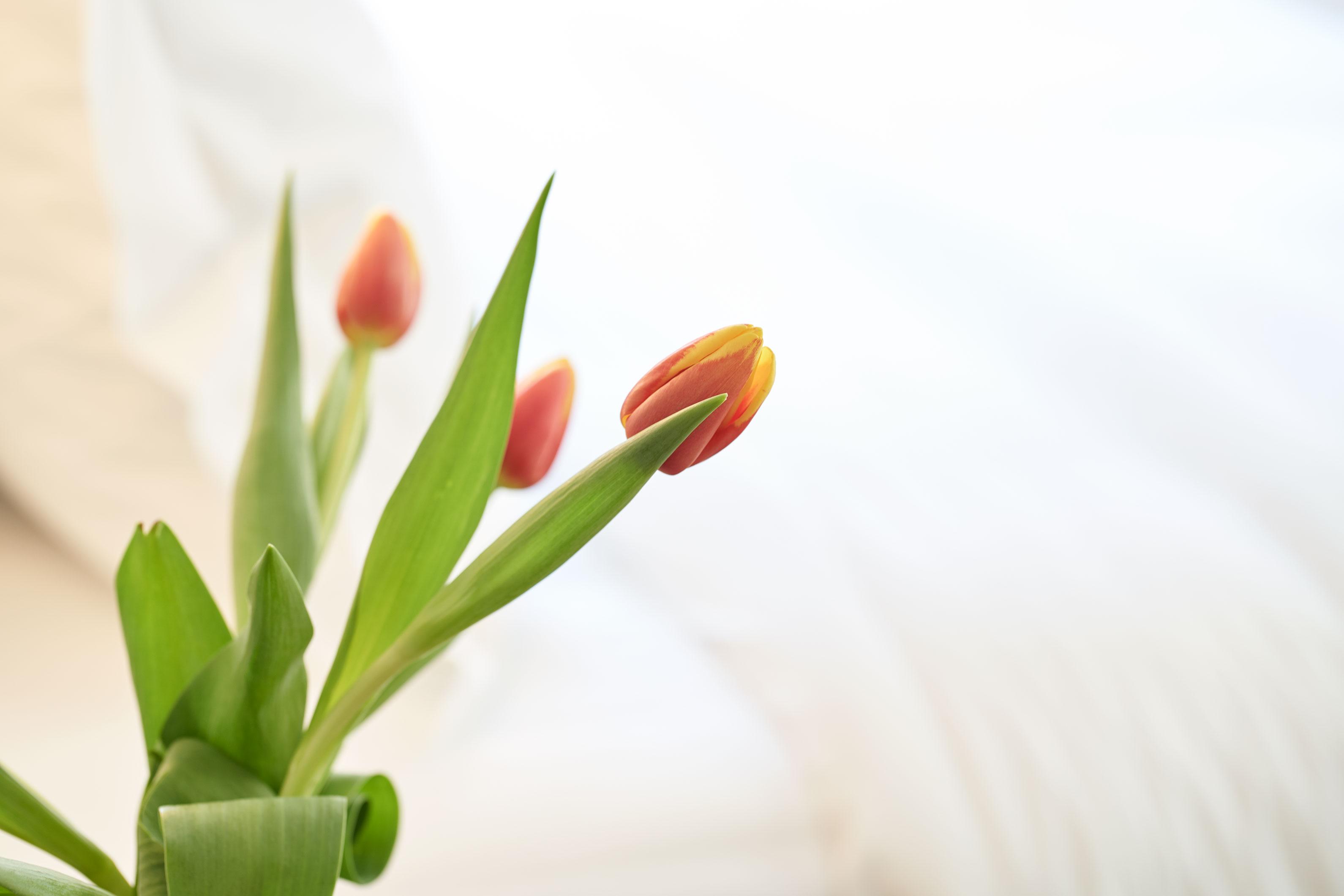 Athens4 Hotel Ngoại thất bức ảnh
